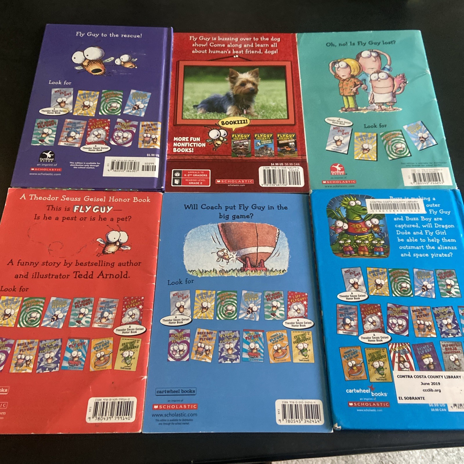 Fly Guy By Tedd Arnold Lot Of 18 HCs & PBs Acceptable To VG Condition