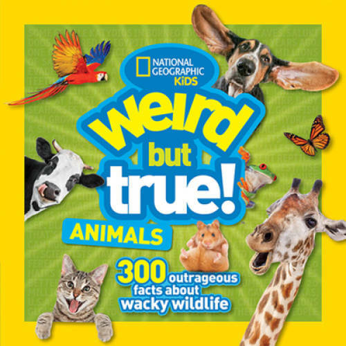Weird But True Animals – Paperback By Kids, National Geographic – VERY GOOD
