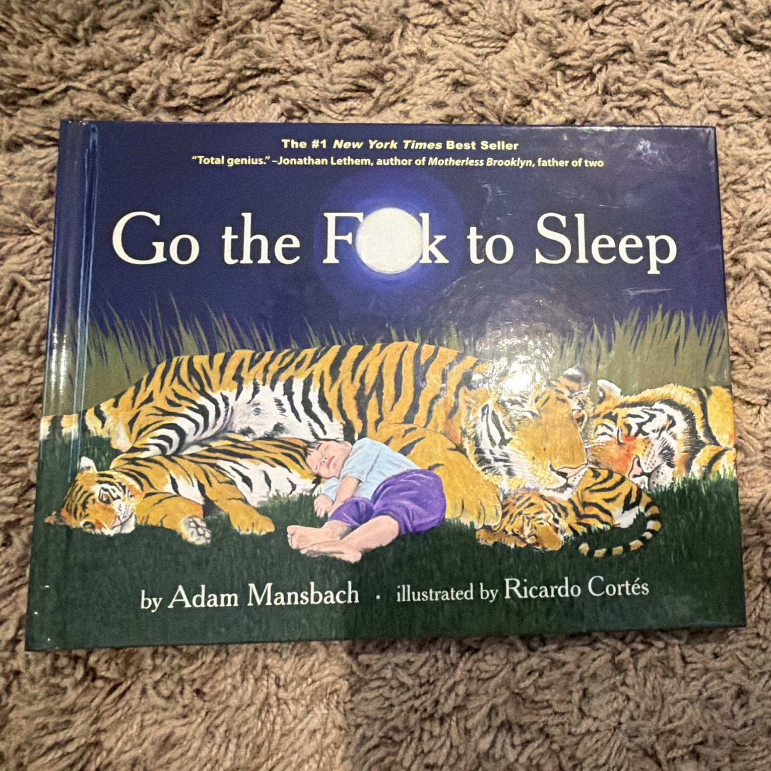 Go the F**k to Sleep by Adam Mansbach, Illus. Ricardo Cortés, HC