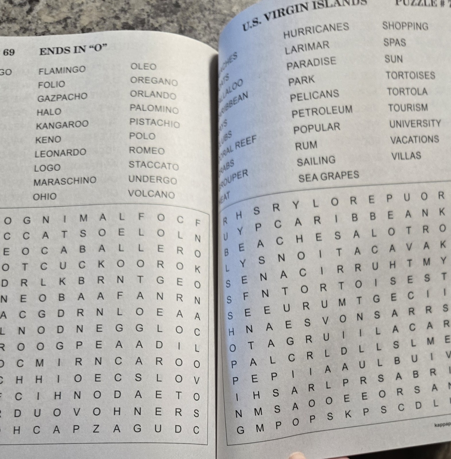 Kappa Large Print Large Print Word-Finds Volume 509 Word Search Puzzle Book