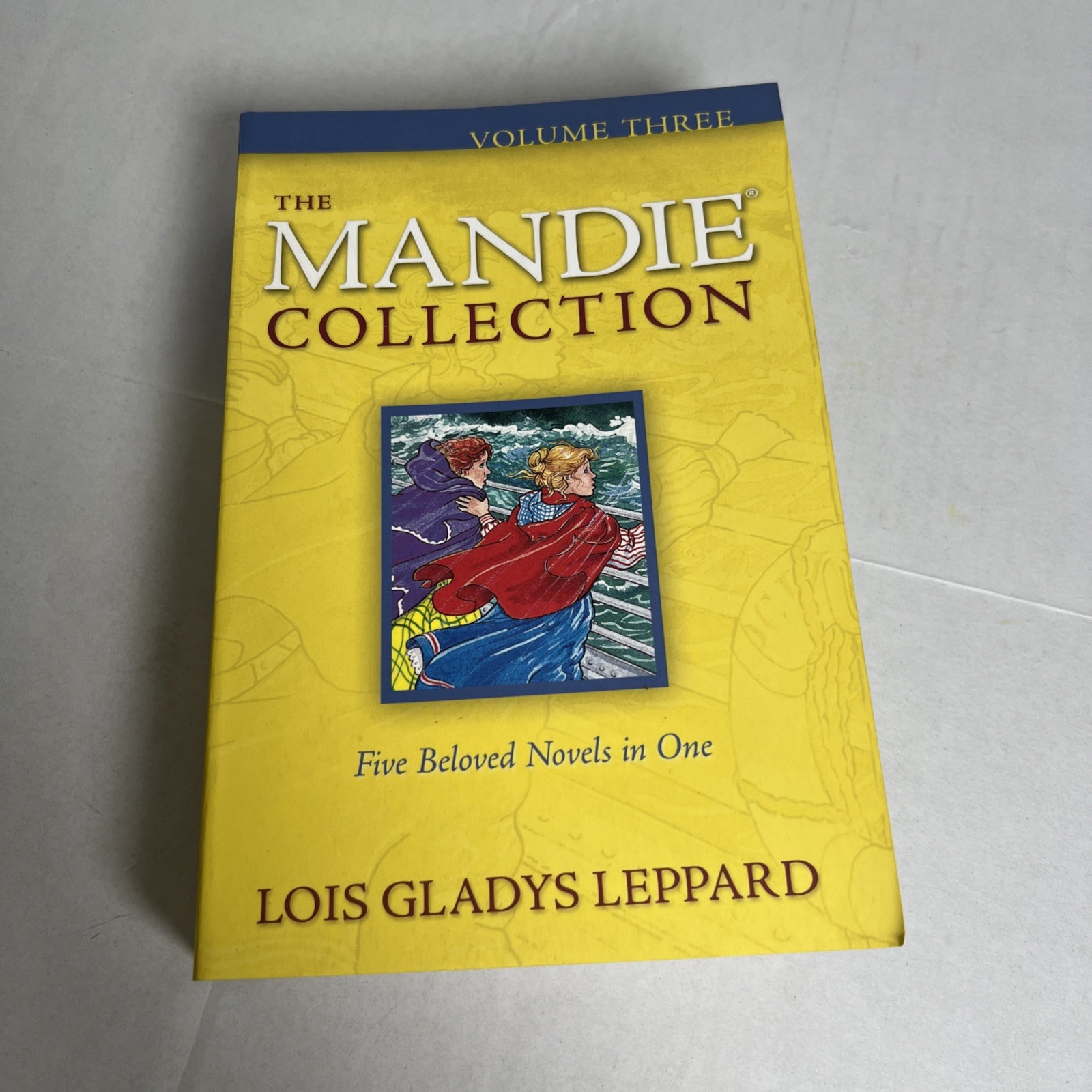 MANDIE COLLECTION COMPLETE BOOK SERIES 1-40 – Lois Gladys Leppard