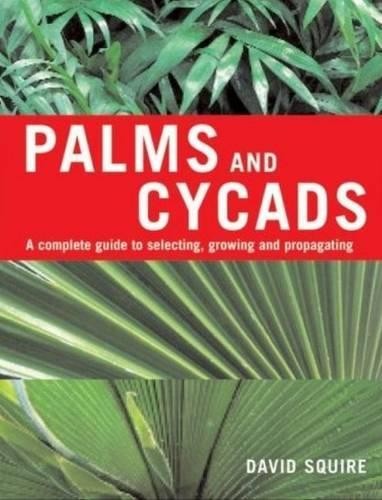 David Squire Palms and Cycads (Paperback)