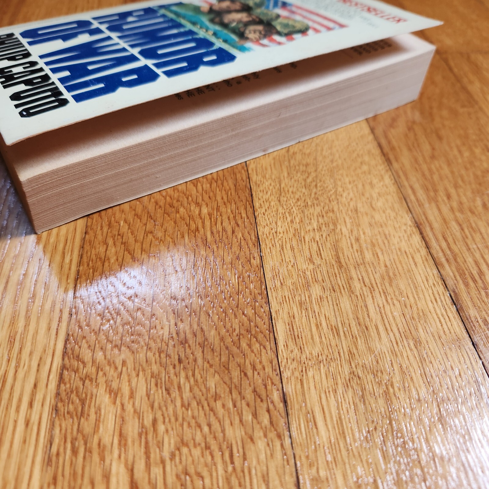 A Rumor Of War by Philip Caputo (1979, Mass Market) Ballantine Books Edition
