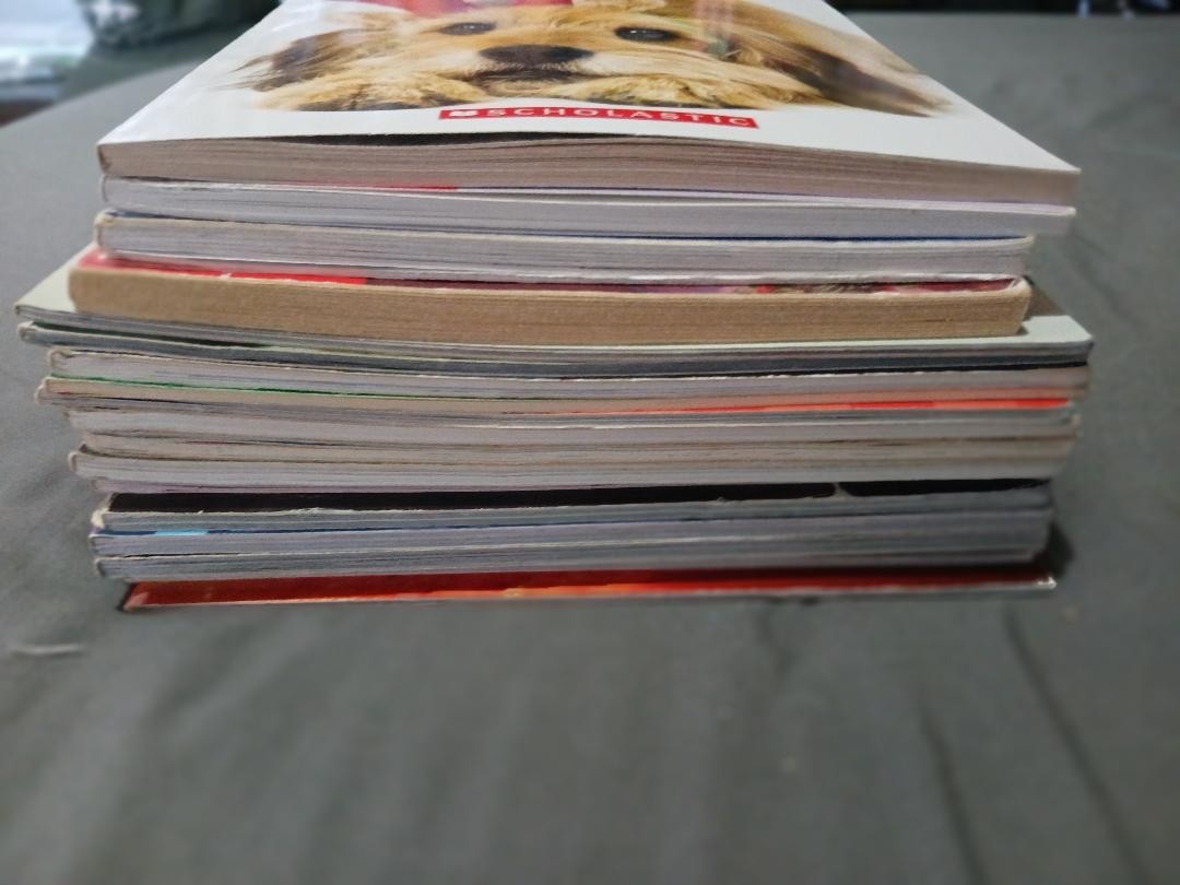 Lot of 19 BOYS Reading Level 3 – 4 ACCELERATED READERS 3rd 4th Grade comics VGUC