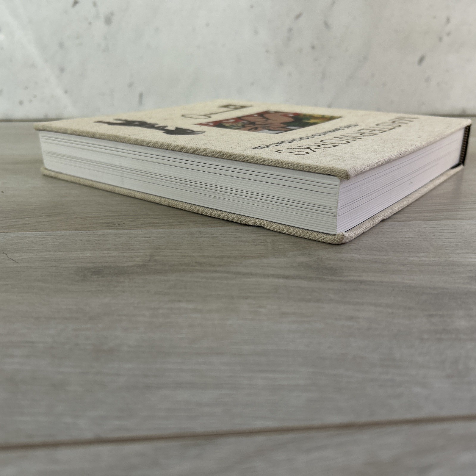 Masterworks of the Barnes Foundation by Dolkart, Judith F. B2