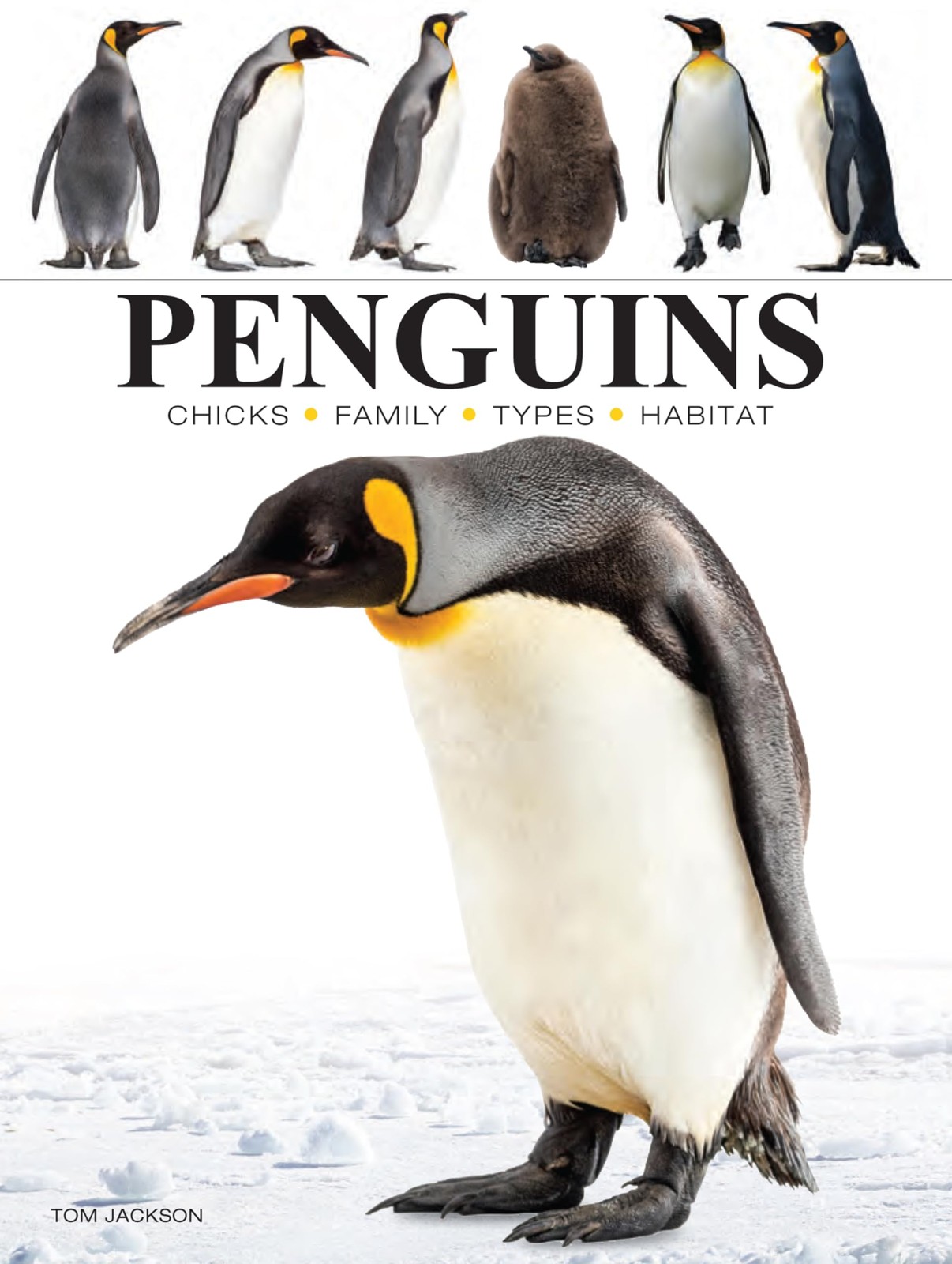 Penguins (Mini Encyclopedias)