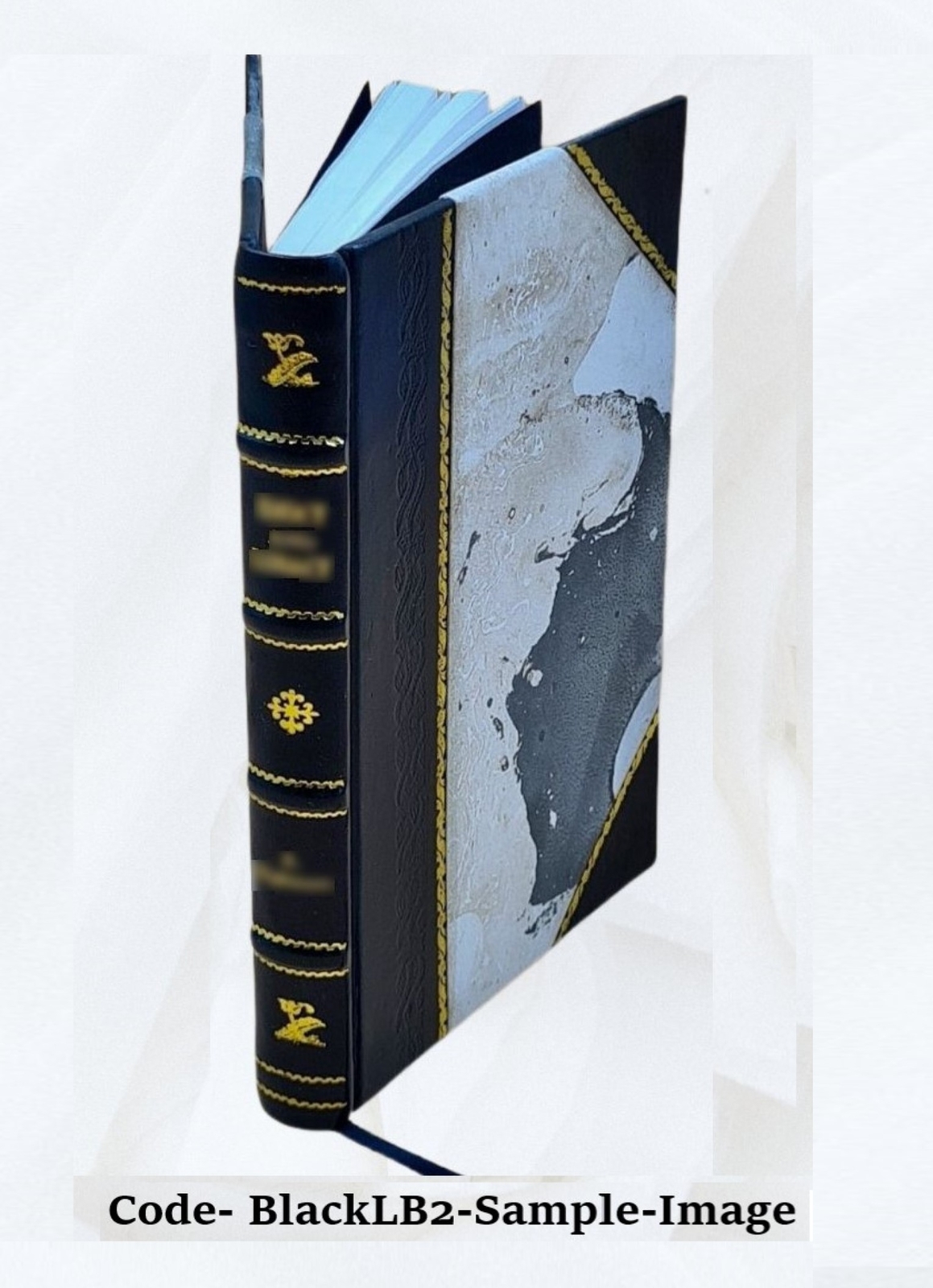 A New Industry Or Raising The Angora Goat, And Mohair, For Profi [Leather Bound]