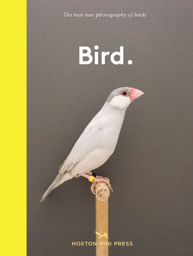 Bird.: The best new photography of birds (Welln… by Hoxton Mini Press Hardback