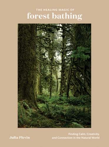 The Healing Magic of Forest Bathing: Finding Calm, Creativity, and Connection in