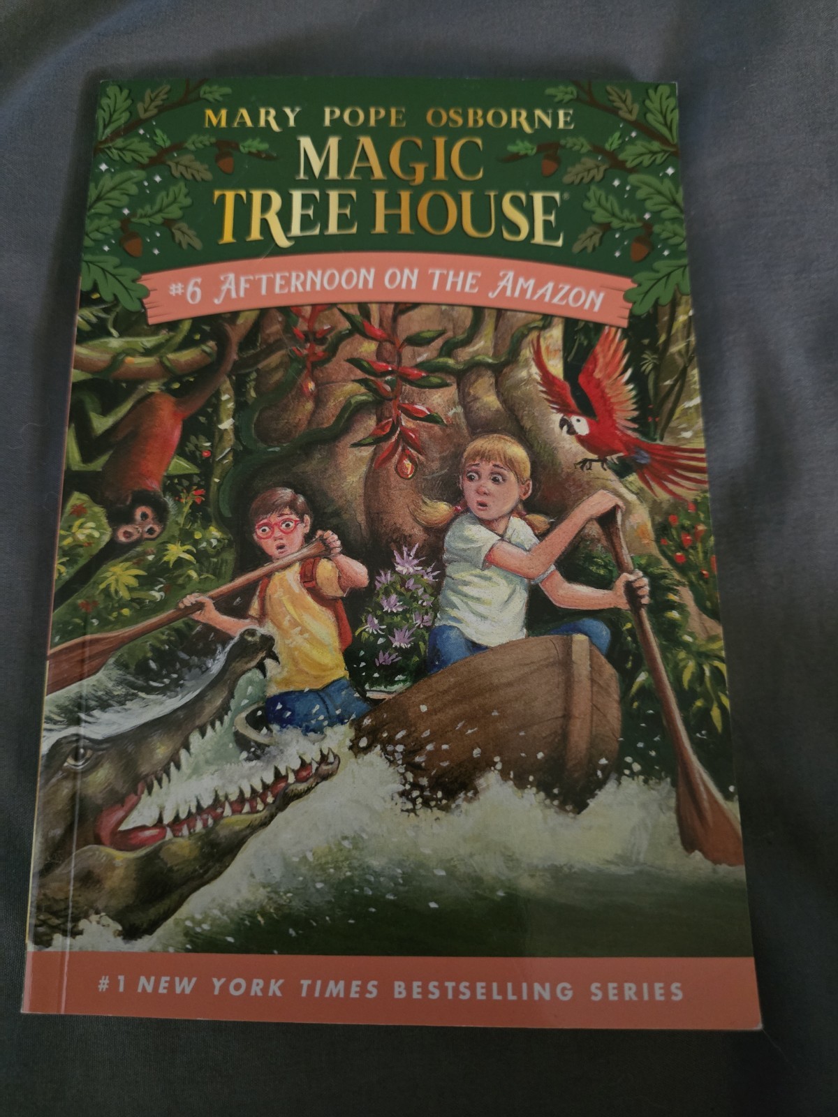 Magic Treehouse Afternoon On The Amazon #6