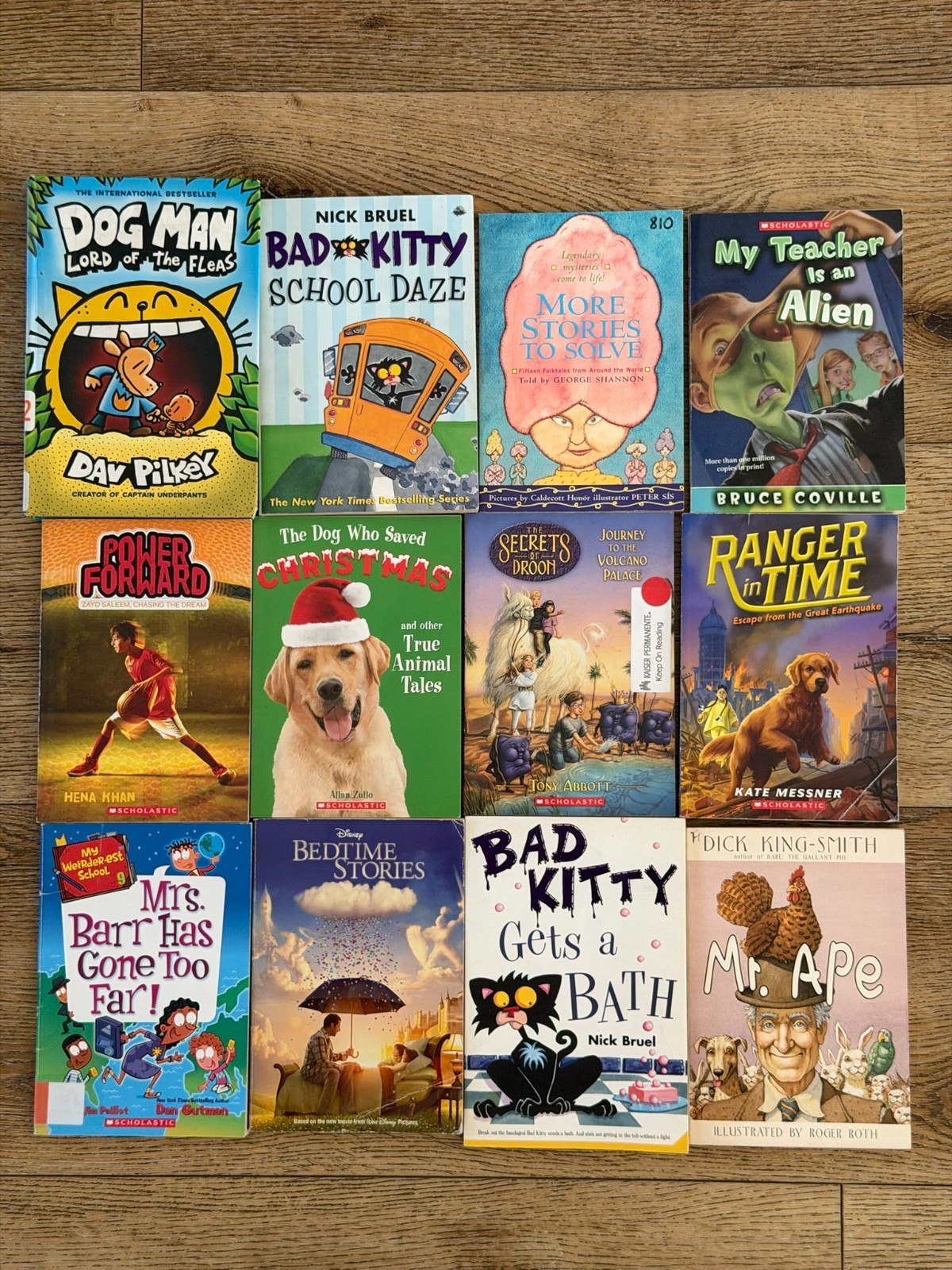 12 Kids Chapter Books Lot Dog Man Bad Kitty Ranger In Time Mr Ape