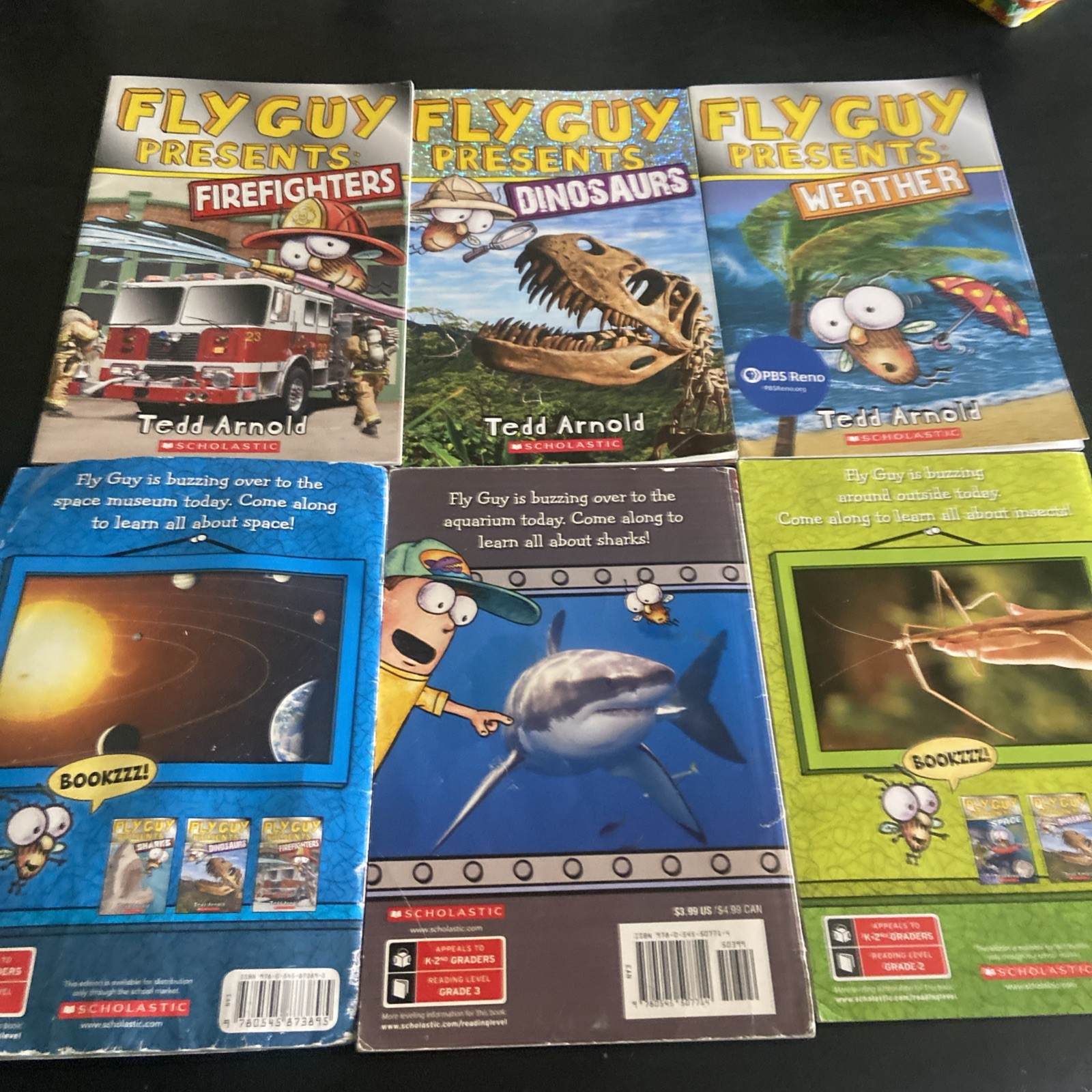 Fly Guy By Tedd Arnold Lot Of 18 HCs & PBs Acceptable To VG Condition