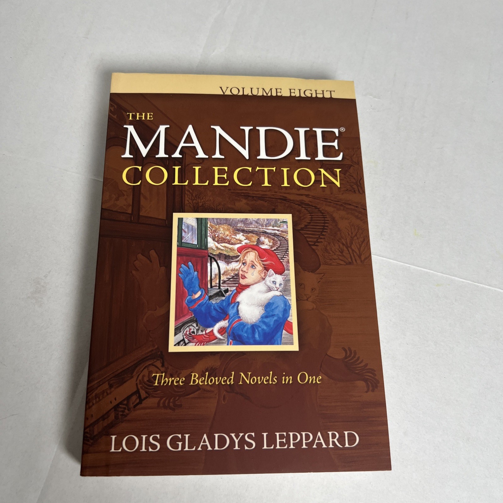 MANDIE COLLECTION COMPLETE BOOK SERIES 1-40 – Lois Gladys Leppard