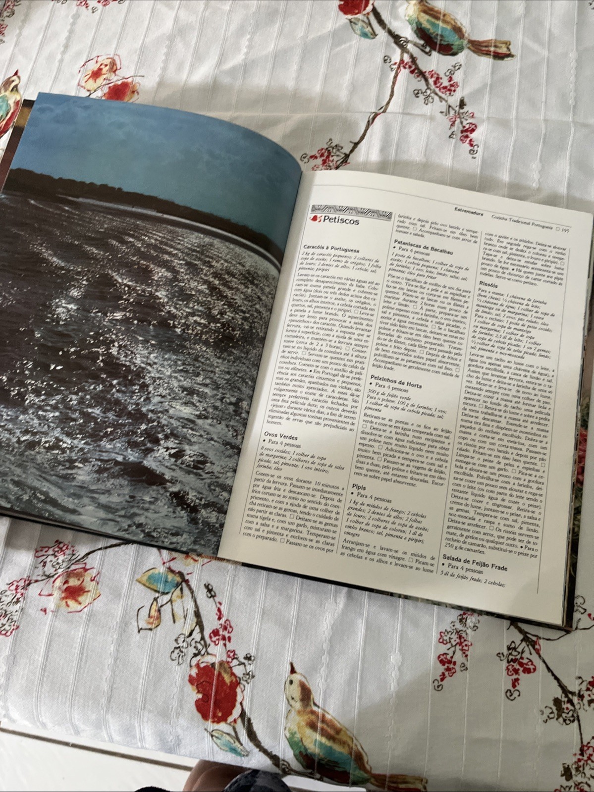 Traditional Portuguese Cooking by Maria de Lourdes Modesto – IN PORTUGUESE