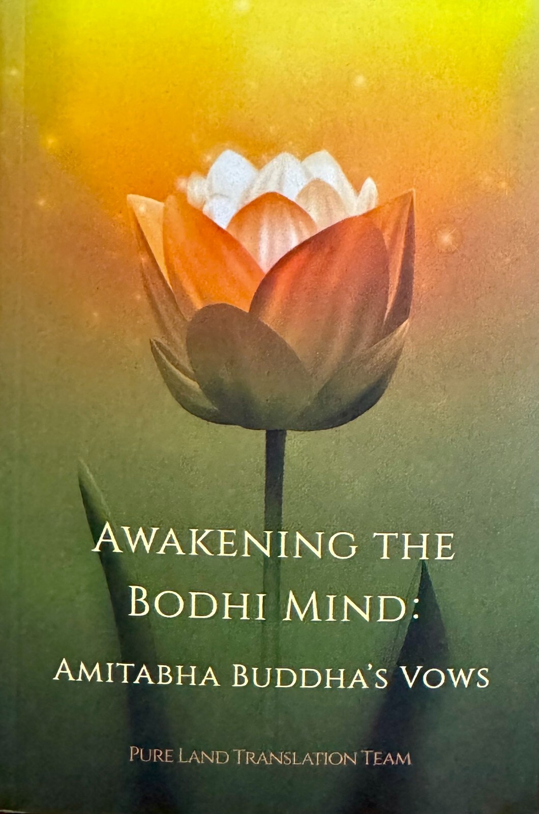 AWAKENING THE BODHI MIND: AMITABHA BUDDHA’S VOWS