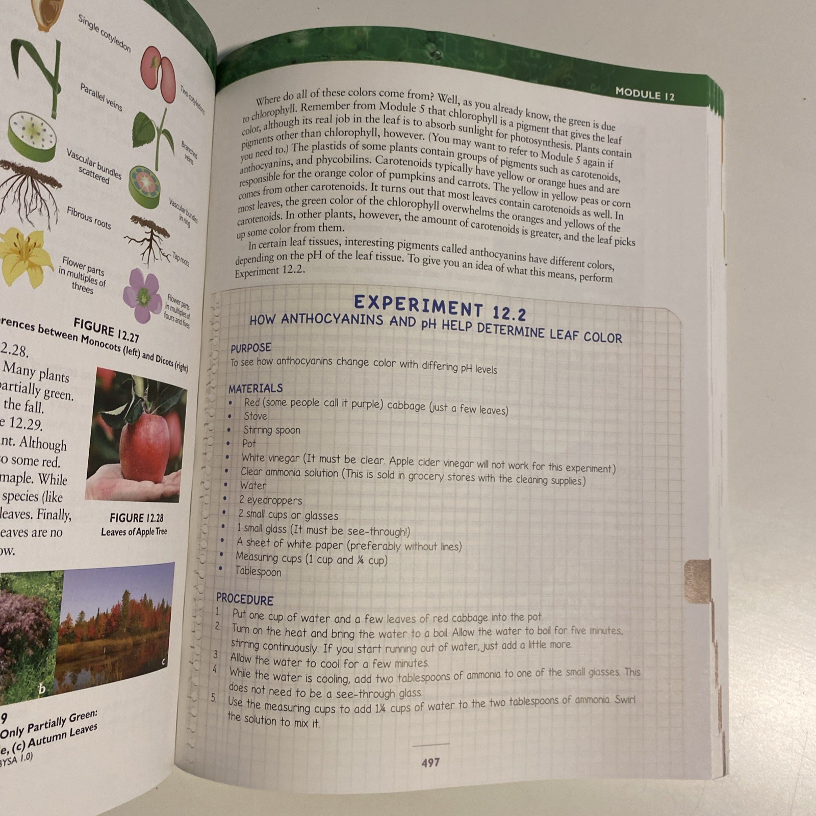 Apologia Exploring Creation with Biology 3rd Edition Damaged Cover