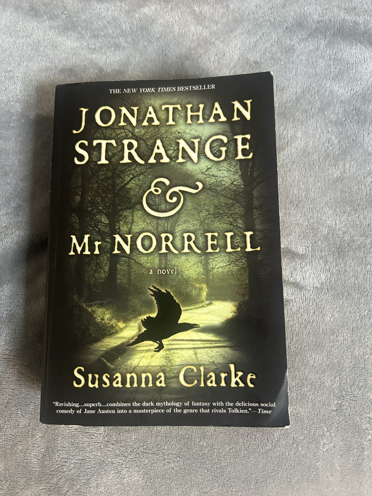 Jonathan Strange and Mr Norrell : A Novel by Susanna Clarke (2005, Perfect)