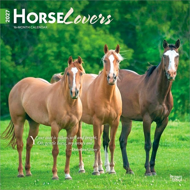 Horse Lovers 2027 12 X 24 Inch (Hanging) Monthly Square Wall Calendar Plas Daily