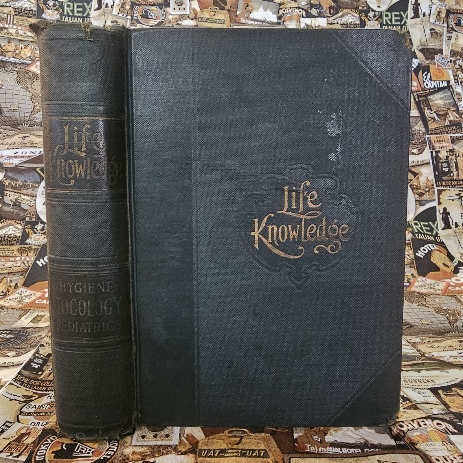 Life Knowledge or Women’s Responsibilities and Duties By Myers Solis-Cohen 1909