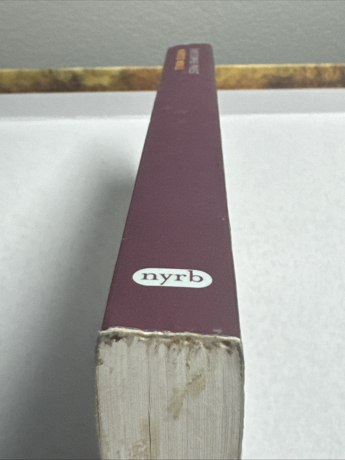 Christopher Priest Inverted World 2008 New York Review Book