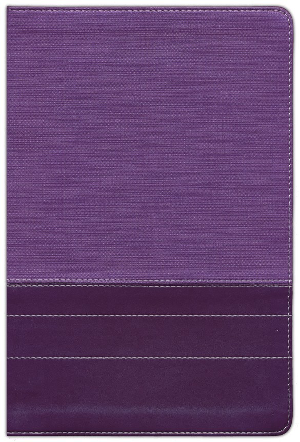 ** NIV 2011 Thinline Bible Large Print 10.5pt *Purple/Plum Leathersoft *NEW* 990