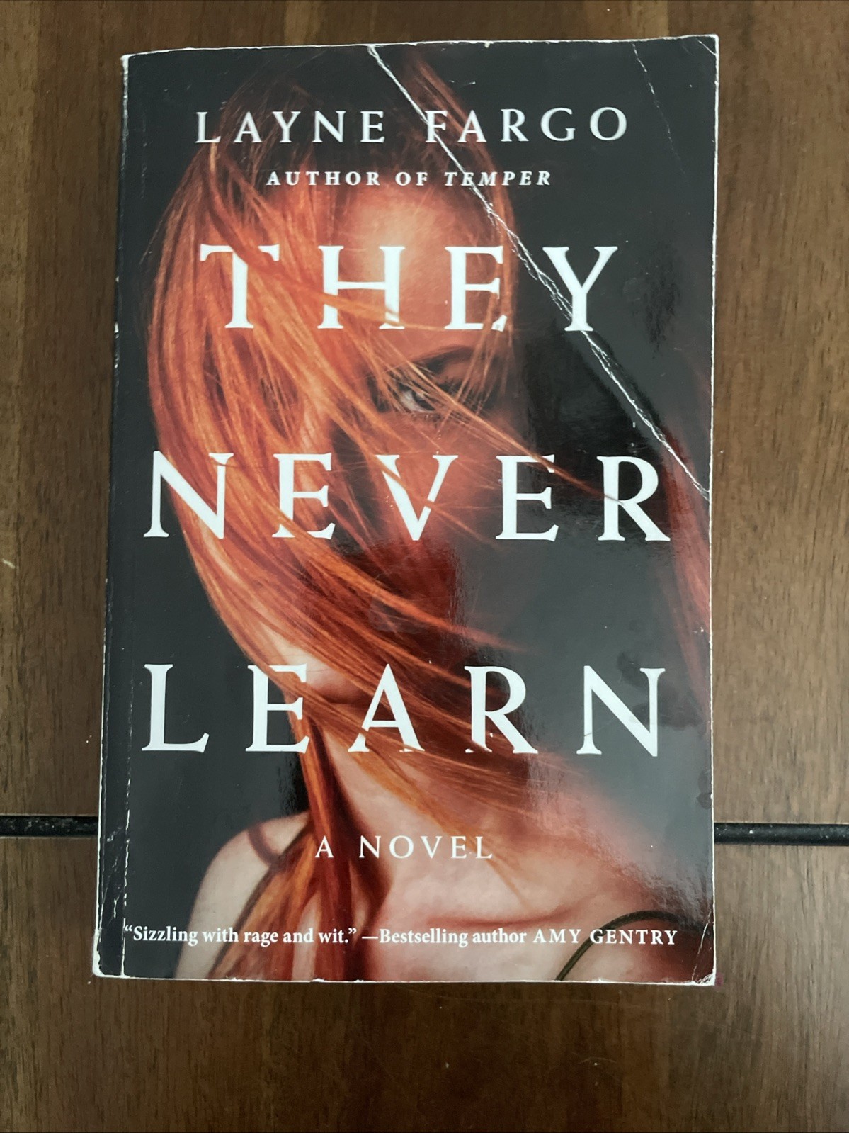 They Never Learn by Layne Fargo (2021, Trade Paperback)