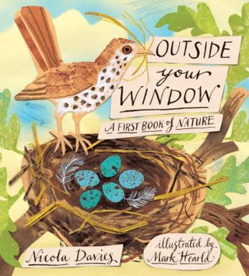 Outside Your Window : A First Book of Nature Hardcover Nicola Dav