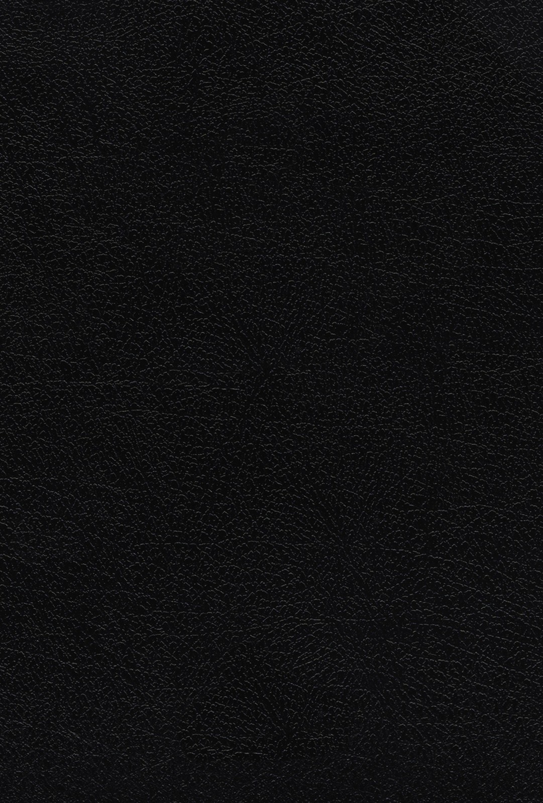 KJV THOMPSON CHAIN-REFERENCE BIBLE/LARGE PRINT (COMFORT PRINT)-BLACK EUROPEAN BO